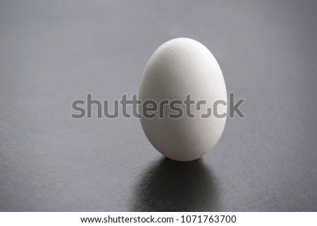 White bird's egg close-up on a dark background. Protein food