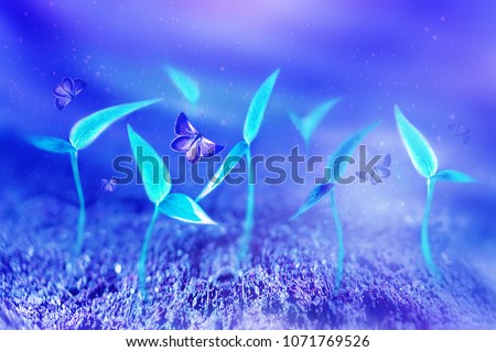 Fantastic plants and butterflies in a fairy garden. Postcard in blue and purple colors. A natural artistic spring and summer background.
