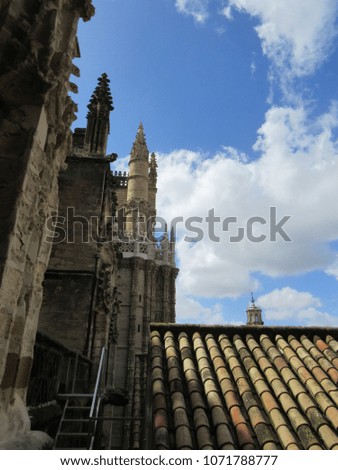View of the Seville Cathedral as seen from the Giralda bell tower 