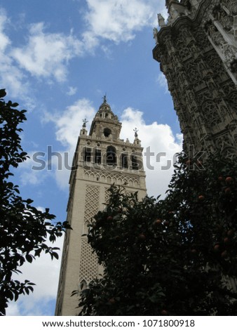 View of the Giralda Tower and Seville Cathedral from the Orange Tree Courtyard 