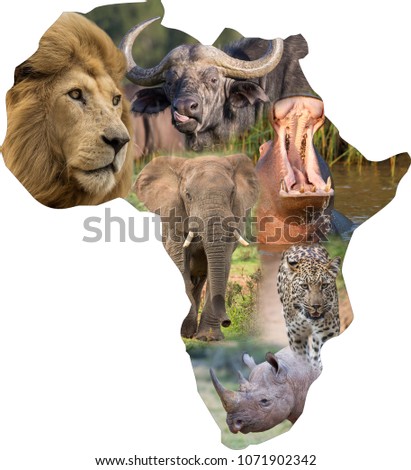 The continent of Africa filled with a collage of large wild african animals Royalty-Free Stock Photo #1071902342