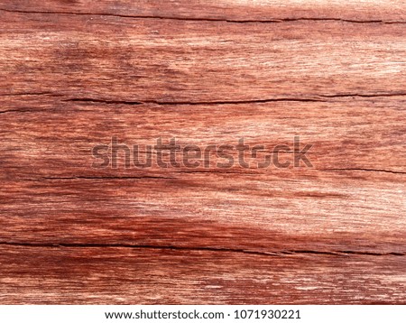 Abstract natural wood background for texture design