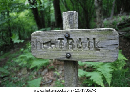 Directions trial sign in beautiful forest