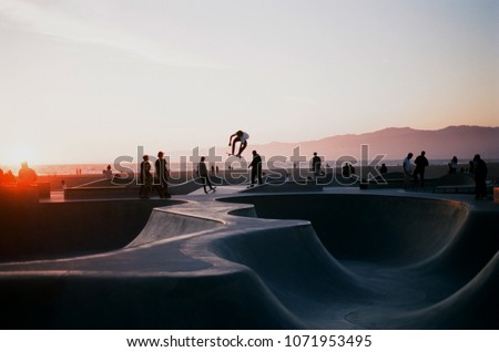Venice Beach Skate Park Royalty-Free Stock Photo #1071953495