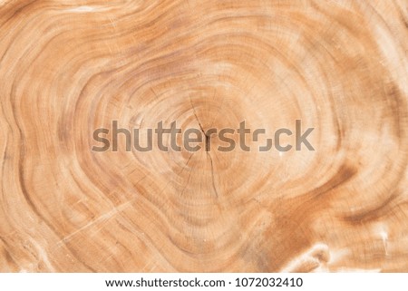 Wooden texture can be used as background