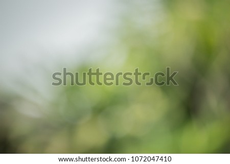Bokeo green natural light background,Green leaf backdrop brightness national