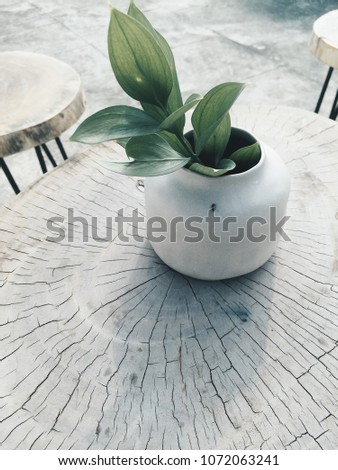 Vase with green leaf in focus at wooden table 