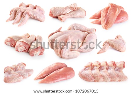 Fresh raw chicken and chicken parts isolated on white background. Breast, wings and legs. With clipping path. Royalty-Free Stock Photo #1072067015