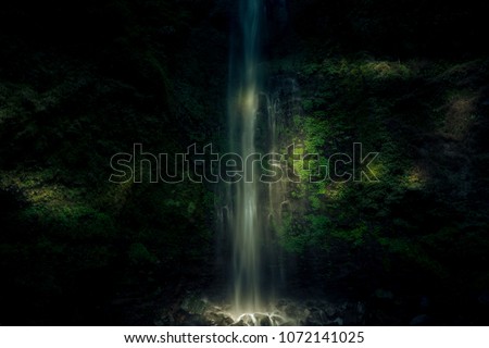 Dark Forest Waterfall