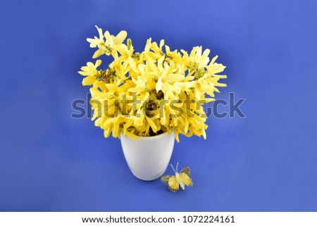 Yellow bouquet on blue background. Spring floral decoration. Spring background concept