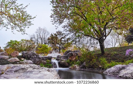 Rockery and water garden pictures