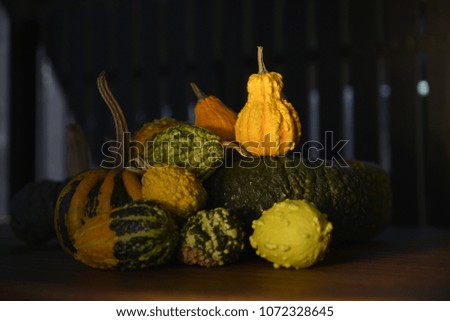 Pumpkin in different shape and colors.