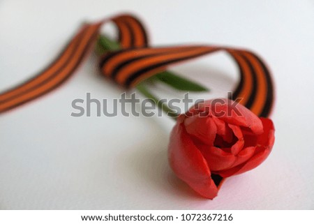 Saint George ribbon with order of the Great Patriotic and red carnations on gray