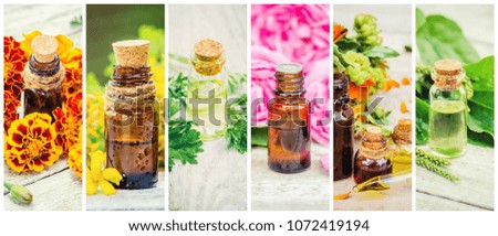 medicinal herbs collage. Selective focus.