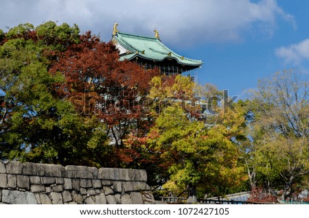 Japanese autumn color