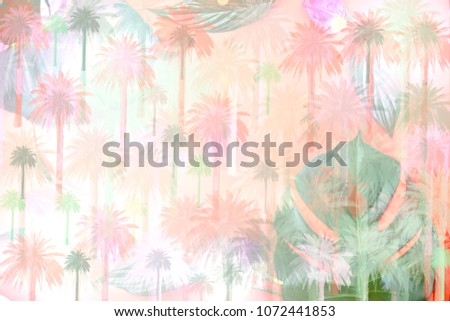 palm trees leaf background pastel traveling symbol wellness spa concept resort hotel 