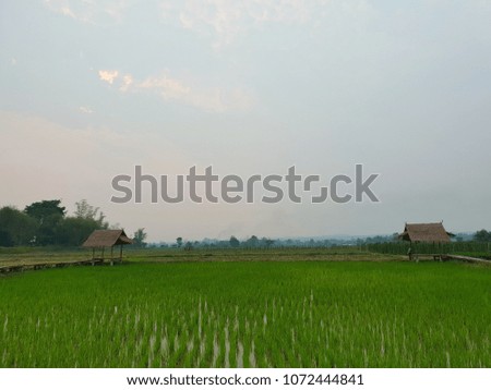 field and Small hut in northern Thailand holiday best.