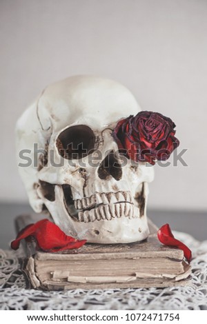 Still life with dry red roses and skull on old vintage book