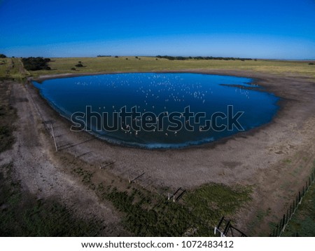 Pampas lagoon, aerial view
