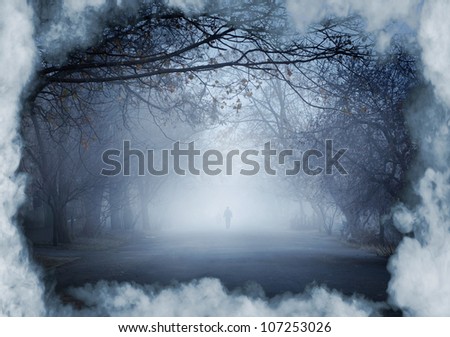 Park in a fog
