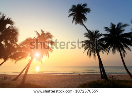 Dark silhouettes of palm trees and amazing cloudy sky on sunrise at tropical island in Indian Ocean. Coconut Tree with Beautiful and romantic sunset. Koh Tao popular tourist destination in Thailand.