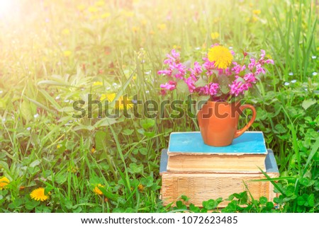 a ceramic cup with flowering plants on a pile of old books on a clearing with a green clover in a warm spring or summer sunny morning