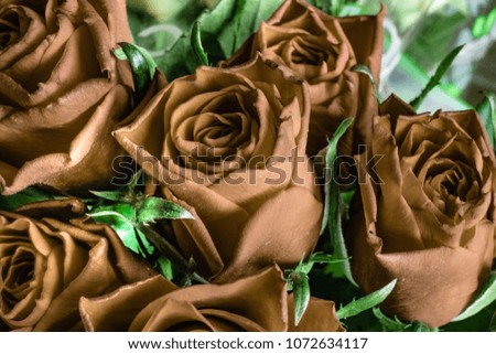 Red roses look like made from chocolate.