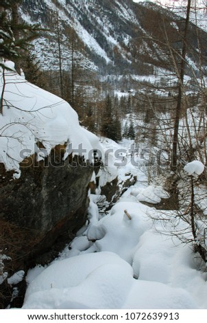 Mountain stones and snow pines in the north of Italy Lillaz