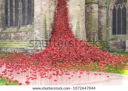 The Weeping Window, poppies, Hereford, World War I
