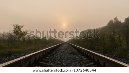 Railway in a foggy summer morning in the forest.