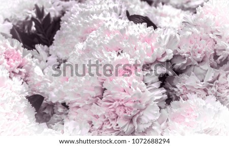 Mix of flowers with water and colorful, rose and carnations