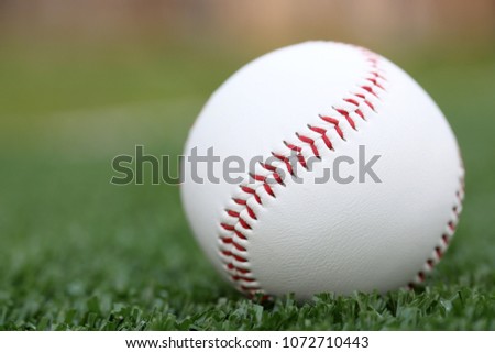 baseball on the lawn