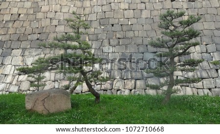 Osaka Castle Wall in Japan