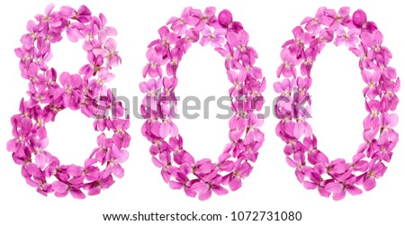 Arabic numeral 800, eight hundred, from flowers of viola, isolated on white background