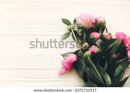 lovely pink peonies on rustic white wooden background top view, space for text. floral greeting card, flat lay. beautiful peony flowers pattern, tender image. happy mothers  day concept