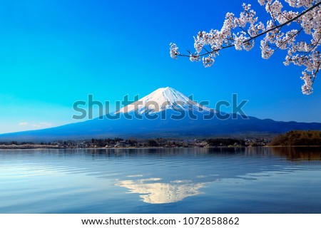 Cherry blossoms with Mt. Fuji and blue sky on the lake.