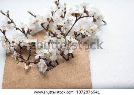 Letter with cherry blossom Valentine day love letter. Envelope from craft paper with white flowers heap spread on white wood background. art, craft envelopes with flowers, flat lay, top view