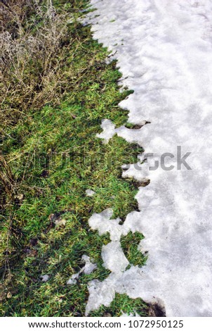 Green grass covered with melting snow, soft blurry background