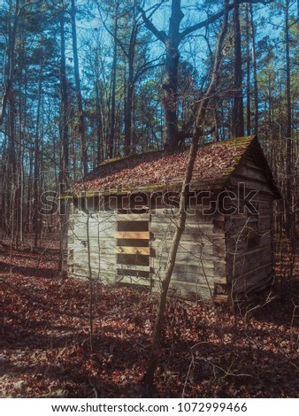 An old shack in the woods Royalty-Free Stock Photo #1072999466