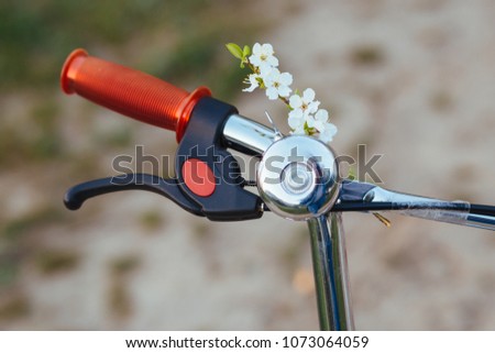 bikes and bells  with spring flowers