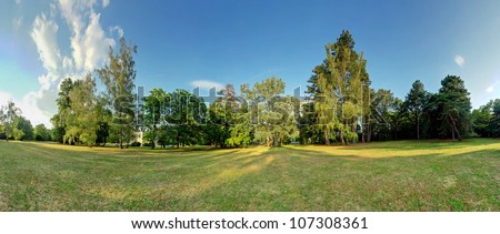 360 degree forest panorama
