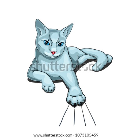 Vector illustration of a white cat with blue eyes scratching surface with its claws.