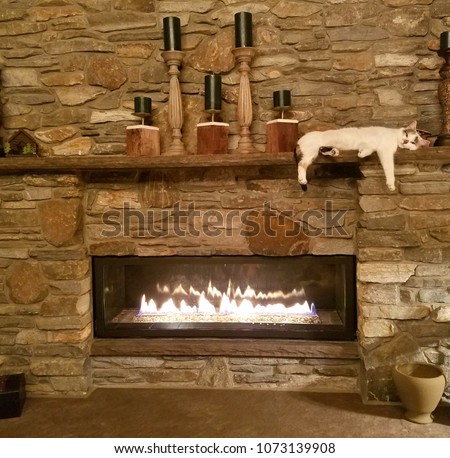 Kitten!!  Really Cute, Rare Breed White Calico Kitten Relaxing and Enjoying the Warmth of Roaring Fire While Resting on Top of a Large Stone Fireplace Mantle; Cozy, Relaxing, Pets, Adopt Me Royalty-Free Stock Photo #1073139908