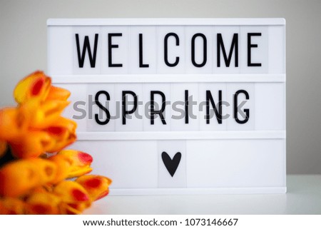 lightbox with words "welcome spring" and tulip flowers on the table
