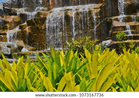 Beautiful yellow leaves of croton trees with waterfall background