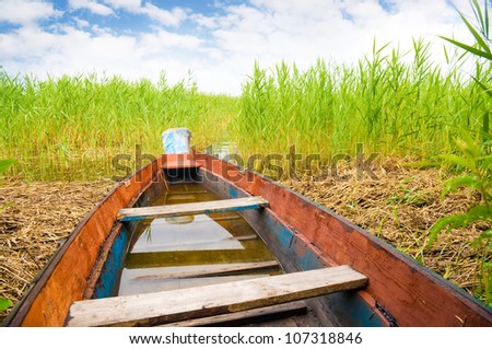 Green boat in a high cane on the bank of lake
