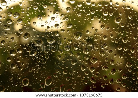 Raindrops on glass with green plants in background