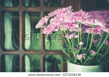 Blurred Background old green glasses with beautiful purple lily flower and vintage concept style