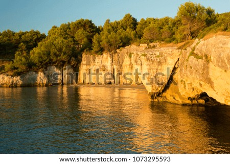 rocky coast in the Gargano in Puglia in summer