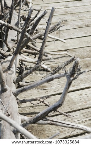 Driftwood on a pier